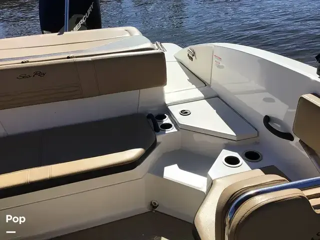 Sea Ray 210 SPX Outboard