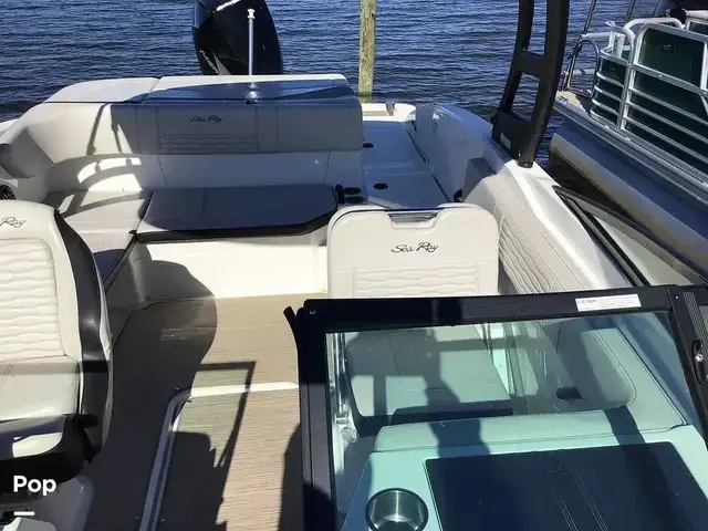 Sea Ray 210 SPX Outboard