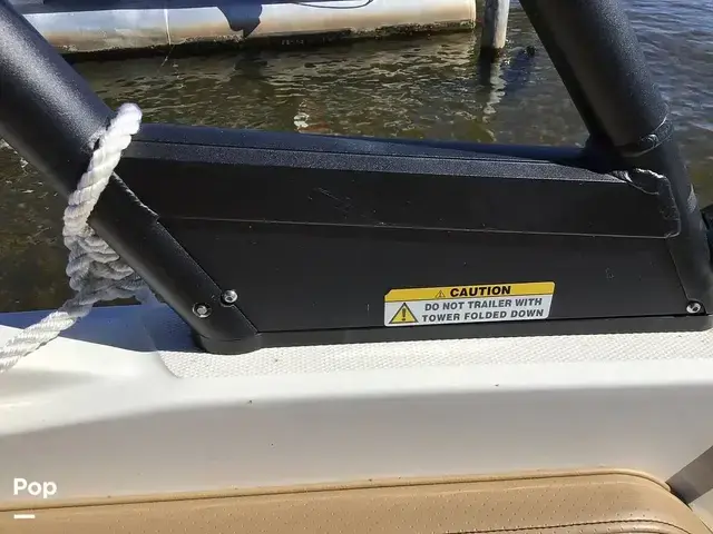 Sea Ray 210 SPX Outboard