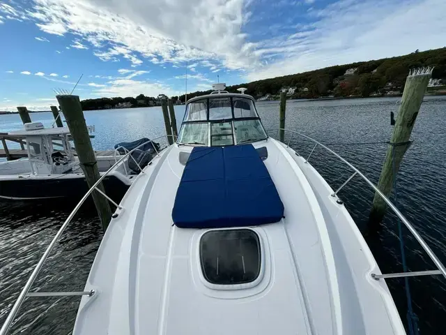 Sea Ray Sundancer 350