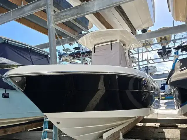 Robalo R242