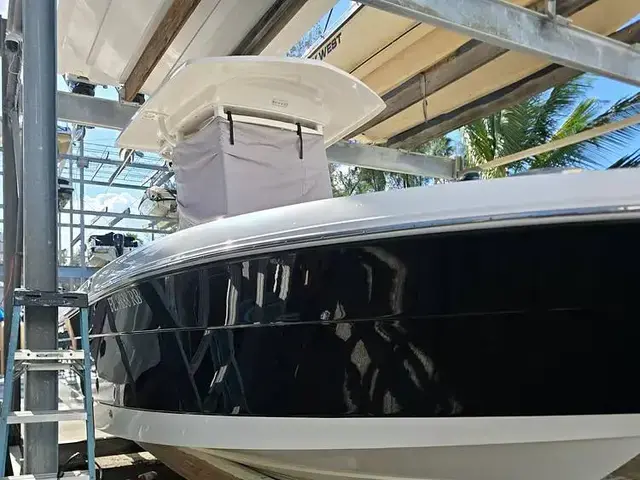 Robalo R242