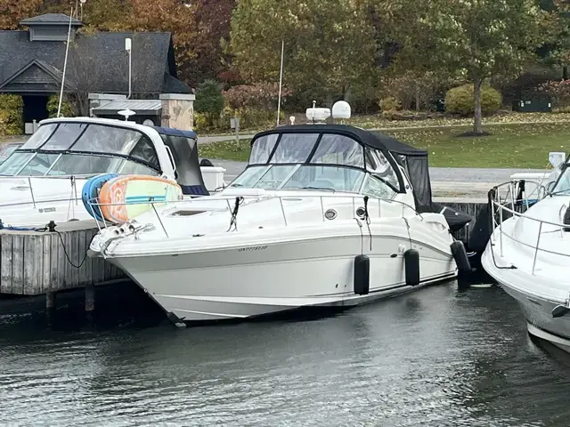 Sea Ray 340