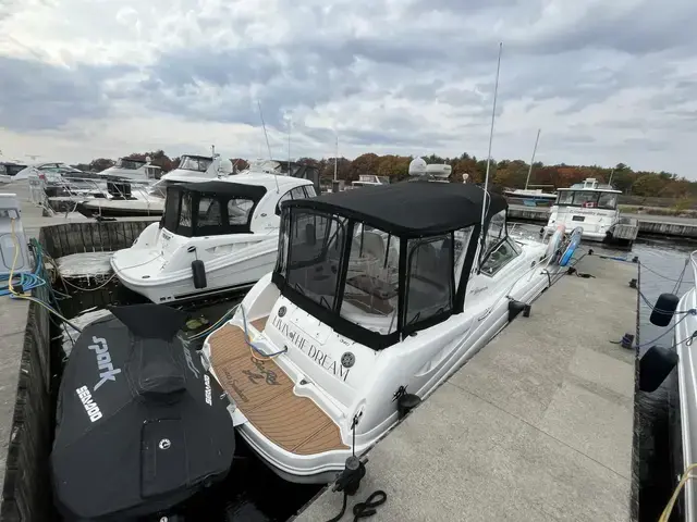 Sea Ray 340