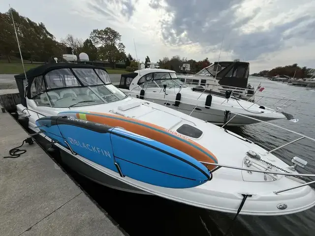 Sea Ray 340