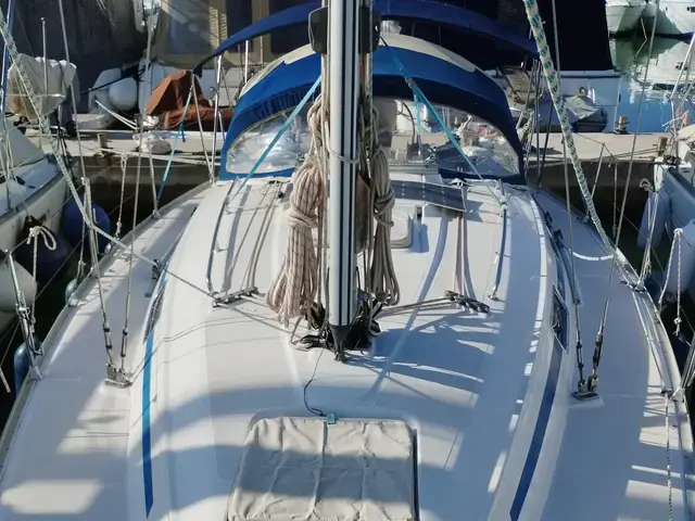 Bavaria 37