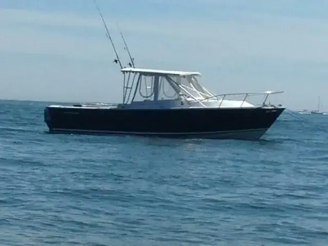 Blackfin 27 Combi