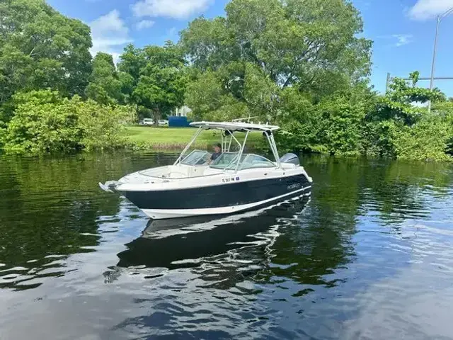 Robalo R247