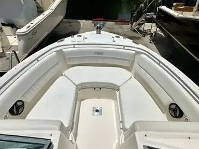 Robalo R247