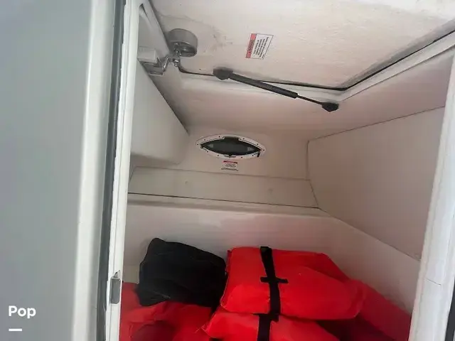 Bayliner Vr6 Ob