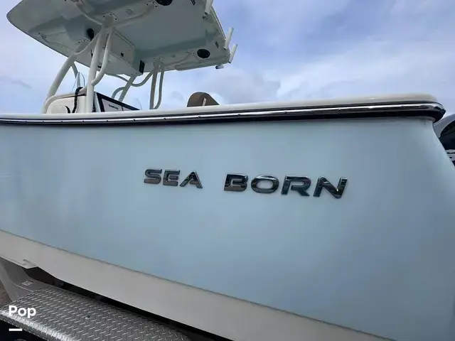 Sea Born Sx 239 Offshore