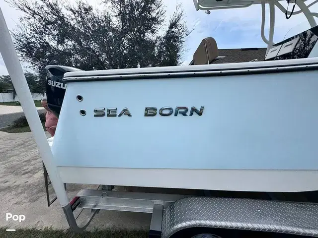 Sea Born Sx 239 Offshore