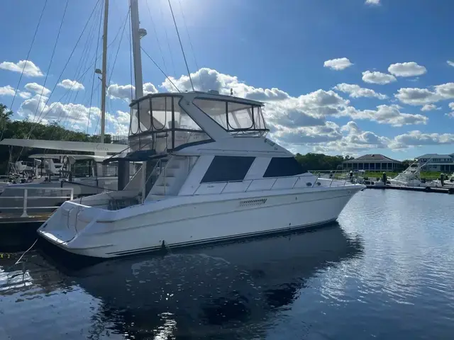 Sea Ray 550 Sedan Bridge