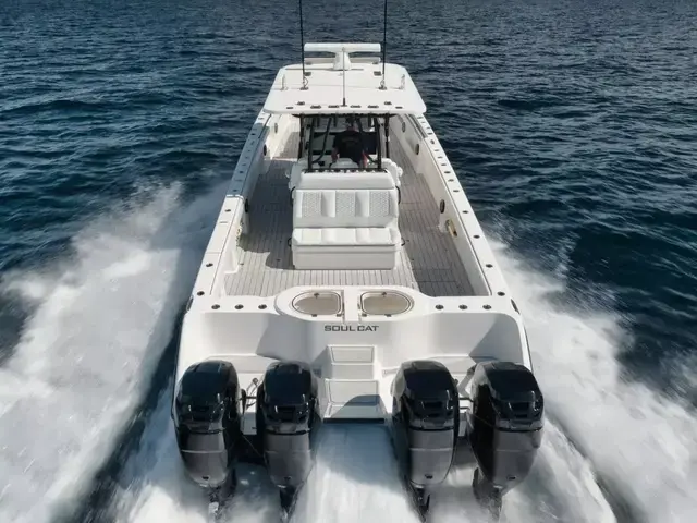 Invincible Boats Catamaran