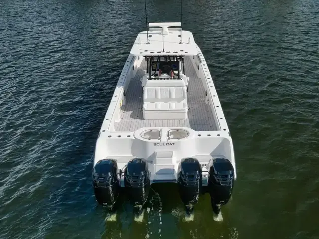 Invincible Boats Catamaran