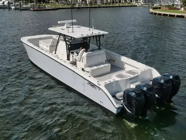 Invincible Boats Catamaran