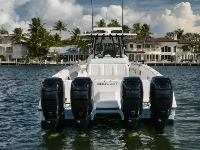 Invincible Boats Catamaran