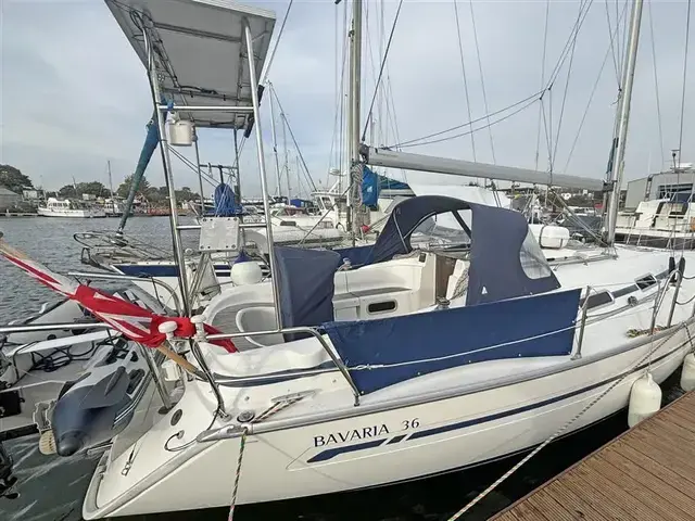 Bavaria 36