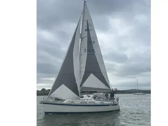 Hallberg Rassy 310