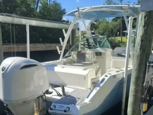 Cobia 240 Dc