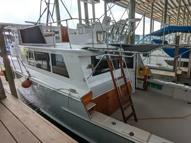 Hatteras 55