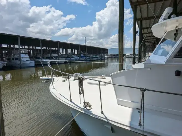 Hatteras 55