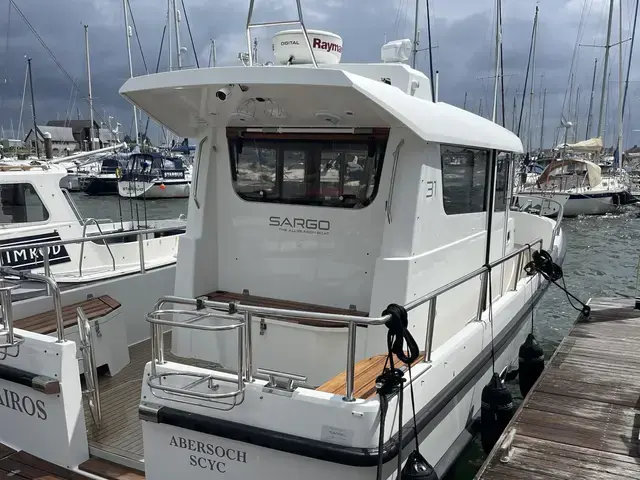 Sargo 31