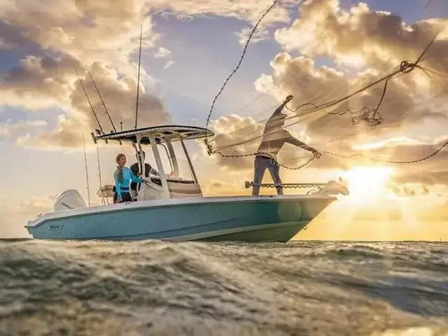 Boston Whaler 220 Dauntless