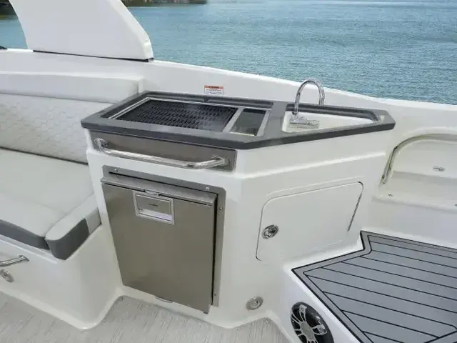 Sea Ray 290 Sdx