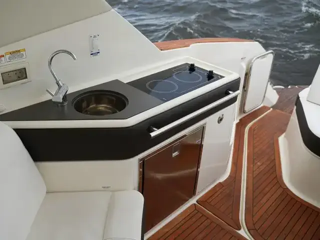 Sea Ray Sundancer 320