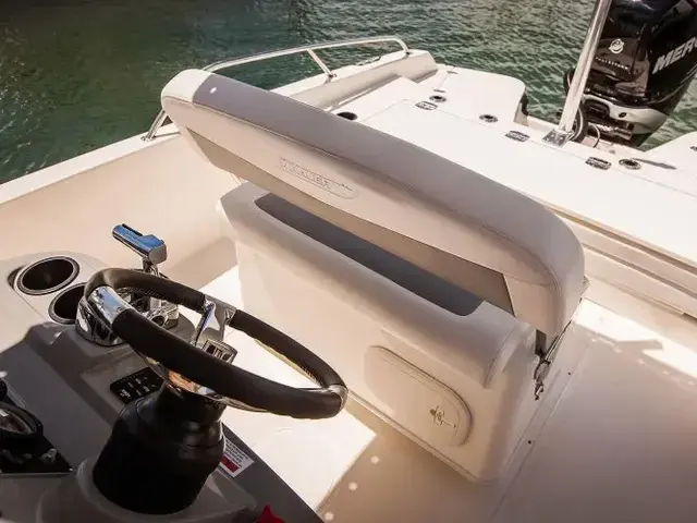 Boston Whaler 250 Dauntless