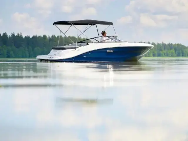 Sea Ray SPX 190 New Model 2024