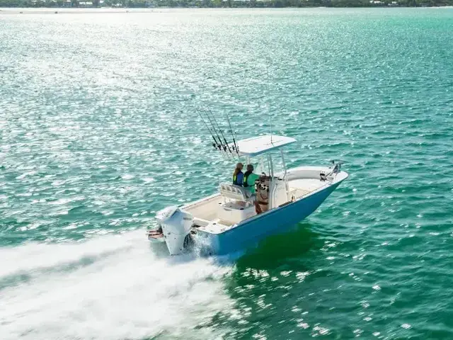 Boston Whaler 210 Montauk