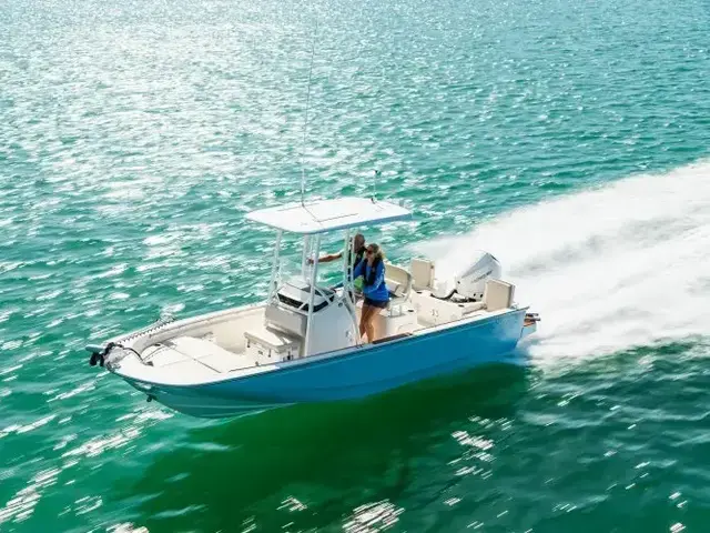 Boston Whaler 210 Montauk