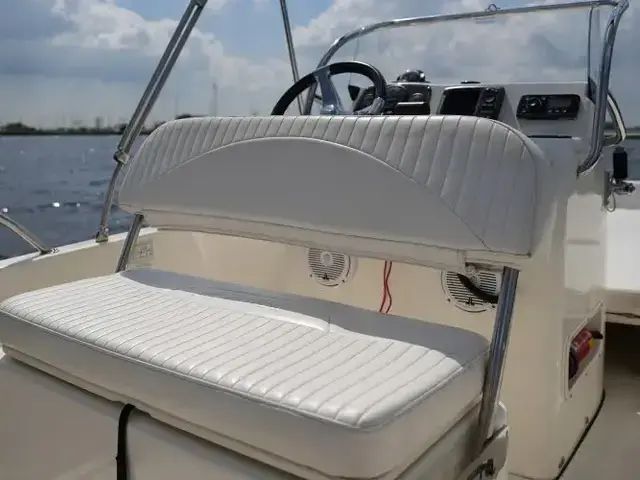 Boston Whaler 170 Dauntless