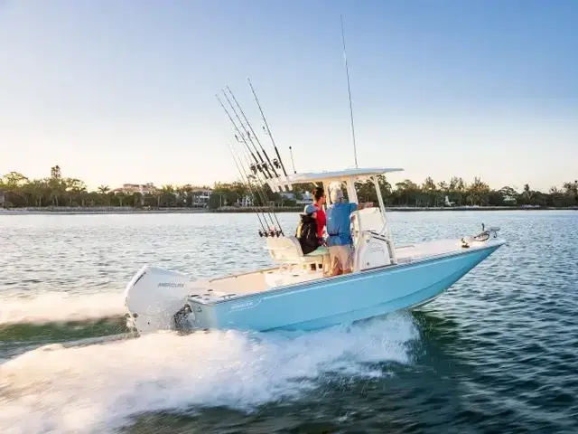 Boston Whaler 210 Montauk