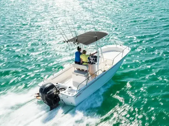 Boston Whaler 190 Montauk