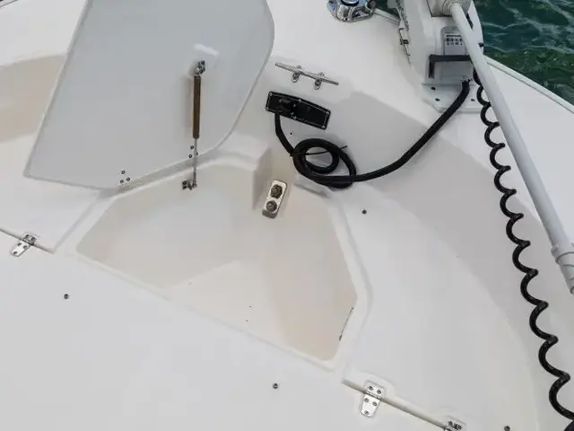 Boston Whaler 210 Montauk