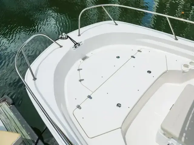 Boston Whaler 190 Montauk