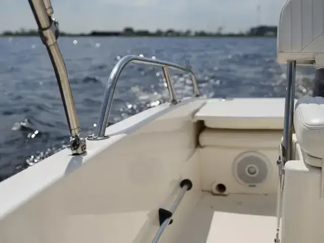 Boston Whaler 170 Dauntless