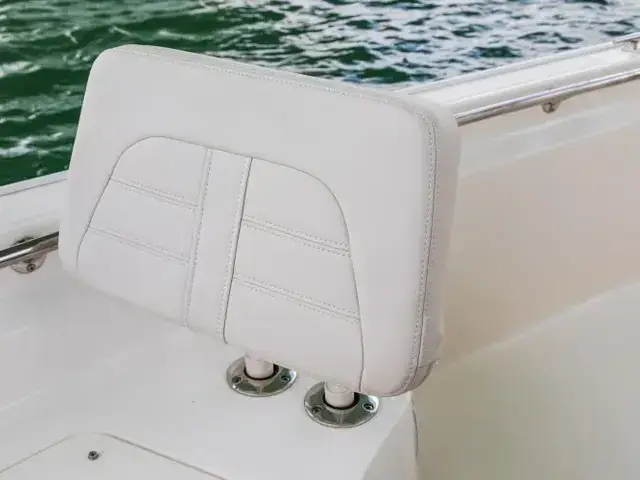 Boston Whaler 210 Montauk