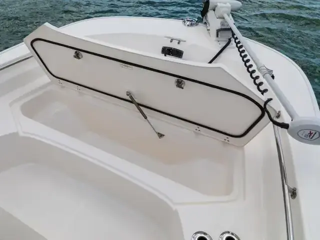 Boston Whaler 210 Montauk