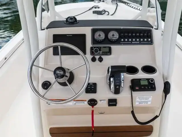 Boston Whaler 210 Montauk