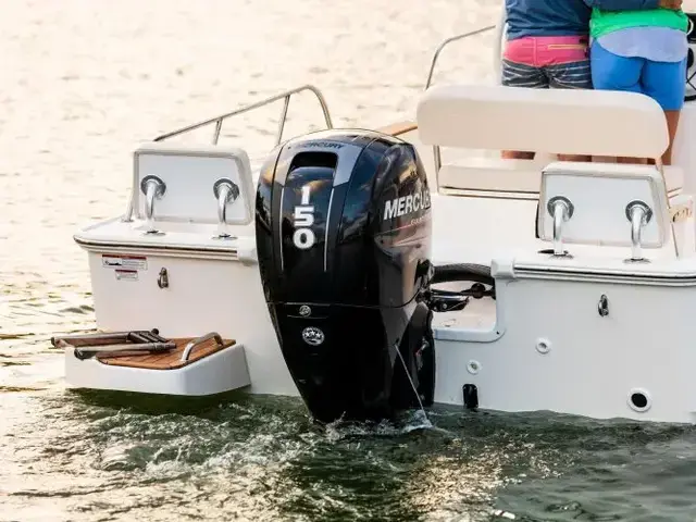 Boston Whaler 190 Montauk