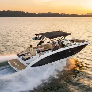  Sea Ray SDX 290