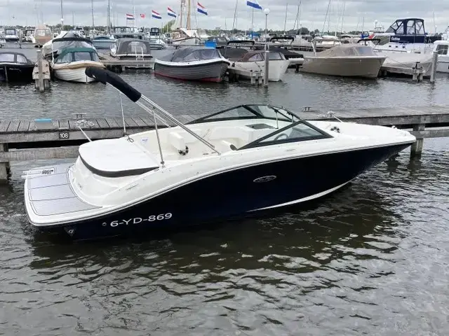 Sea Ray 190 Spx