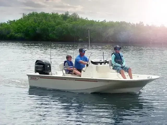 Boston Whaler 150 Montauk