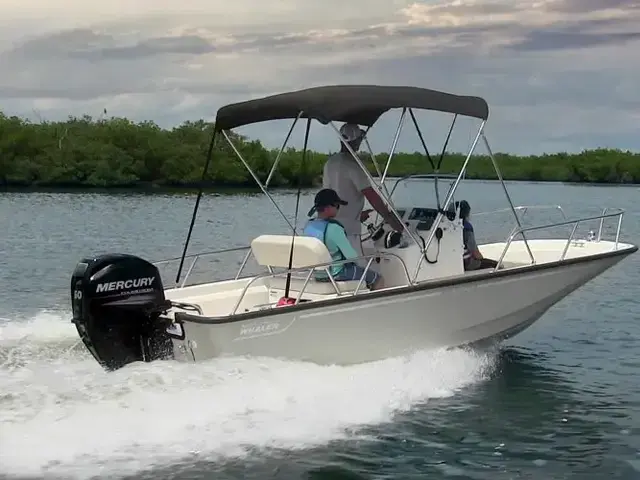 Boston Whaler 150 Montauk