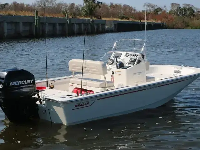 Boston Whaler 150 Montauk