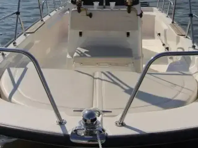 Boston Whaler 150 Montauk